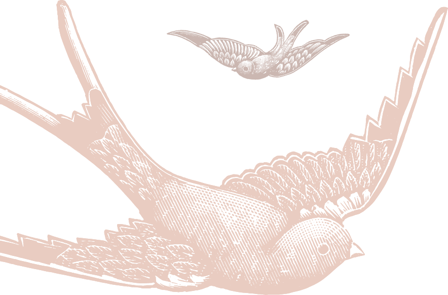 birds
