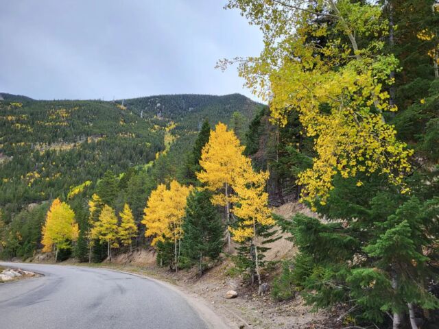 The leaves are just starting to change...it'll be a great weekend to visit Georgetown. Stop by to do some shopping while you're here!!!

#leafpeeping #fallfashion  #shop #vintagecolorado  #fall #boutiqueshopping  #visitgeorgetown